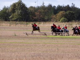 IMG_8496_web